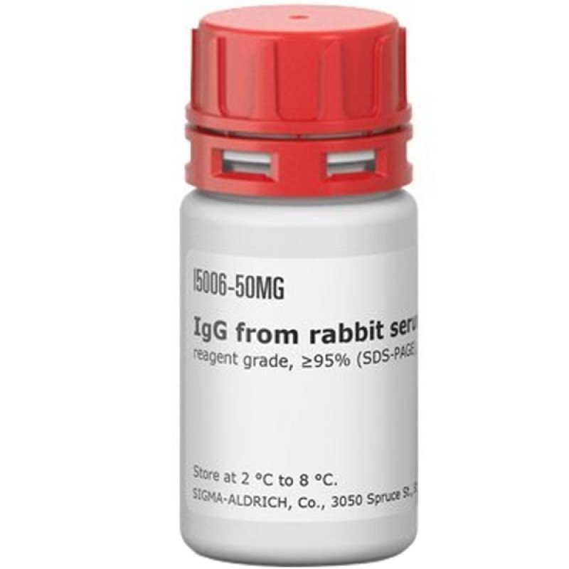RABBIT IMMUNOGLOBULIN G (IGG), FROM & 50 MG