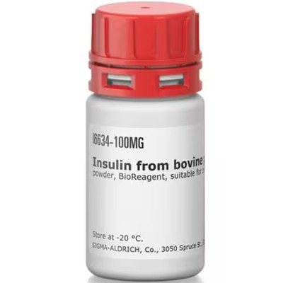 INSULIN FROM FROM BOVINE PANCREAS POWDE& 100 MG