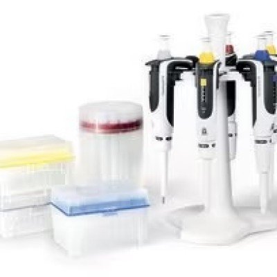 BRAND(R) TRANSFERPETTE(R) S PACKAGE, 2:& 1 EA SIGMA : BR705897