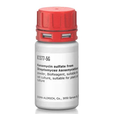 KANAMYCIN SULFATE FROM FROM STREPTOMYCE& 5 G