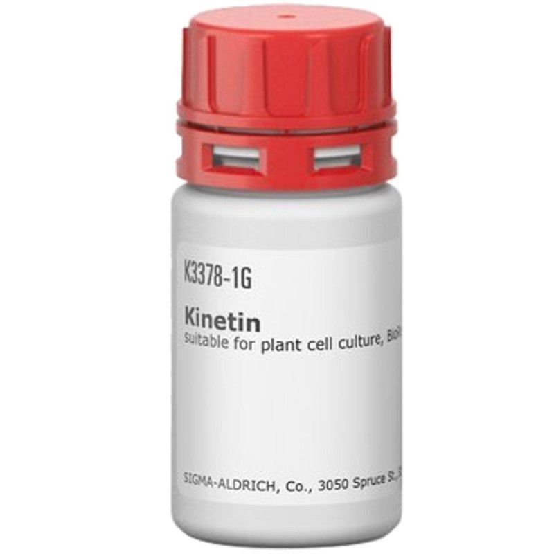 KINETIN, BIOREAGENT PLANT CELL CULTURE& 1 G