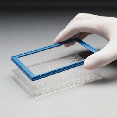 MScn Centr. Alignment Frame Blue NS 4/pk