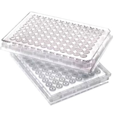 Mscrn-IP Dura 0.45um Clear Ster, 10/pk
