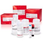 GLUCOSE QUICK TEST STRIPS 1 KIT