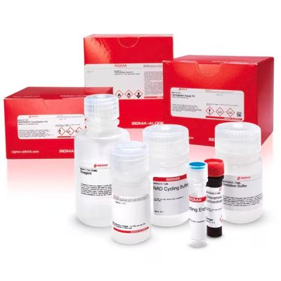 GLUCOSE-6-PHOSPHATE DEHYDROGENASE KIT 1 KIT
