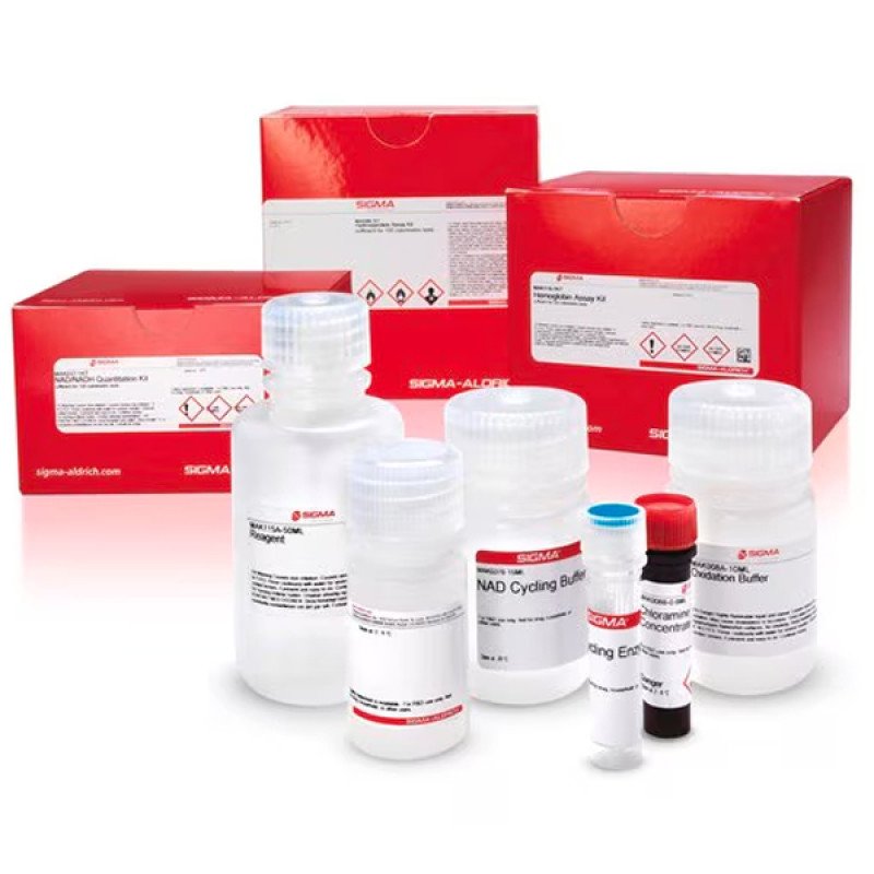 GLUCOSE QUICK TEST STRIPS 1 KIT
