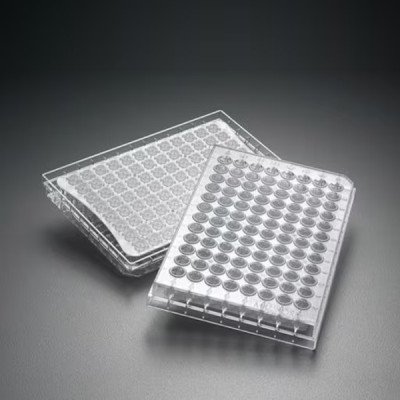 Mscrn HTS HV PVDF .45um Clear Ster 10/pk