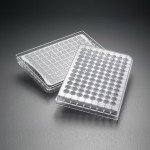 Mscrn HTS GV PVDF .22um Clear Ster 10/pk