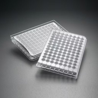 Mscrn HTS GV PVDF .22um Clear Ster 10/pk