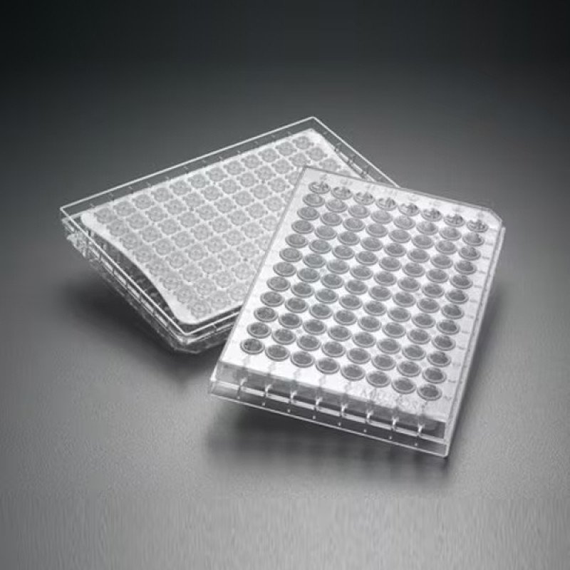 Mscrn HTS GV PVDF .22um Clear Ster 10/pk