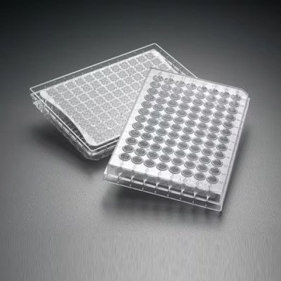 Mscrn HTS IP PVDF .45um Clear Ster 10/pk