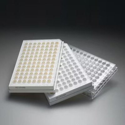Mscrn HTS IP PVDF .45um White Ster 10/pk
