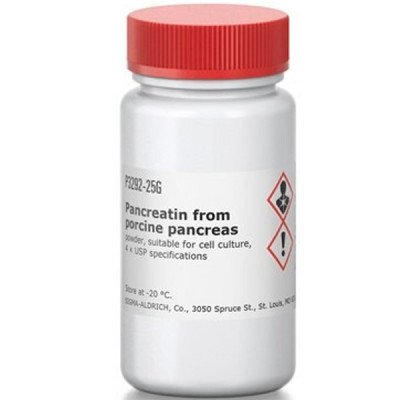 PANCREATIN FROM PORCINE PANCREAS CELL CU 25 G
