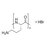 POLY-L-ORNITHINE SOLUTION BIOR& 50 ML
