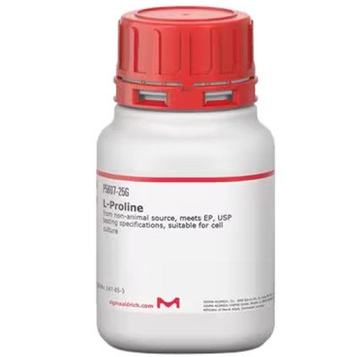 L-PROLINE, NON-ANIMAL SOURCE, CELL CULTU 25 G