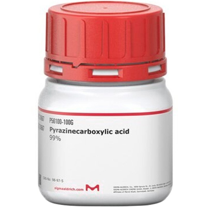 2-PYRAZINECARBOXYLIC ACID, 99% 100 G