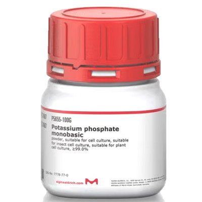 POTASSIUM PHOSPHATE MONOBASIC& 100 G