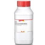 PEPTONE FROM ANIMAL TISSUE, FROM MEAT& 500 G