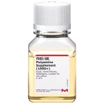 POLYAMINE SUPPLEMENT (1000X) 5 ML