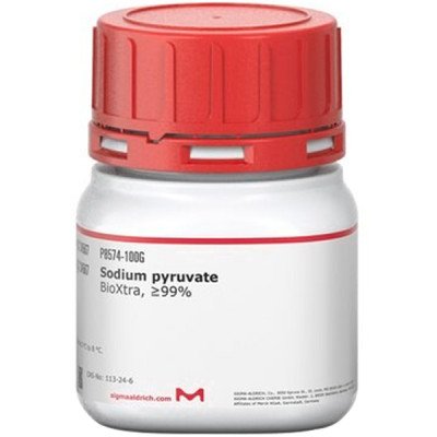 SODIUM PYRUVATE BIOXTRA 100 G