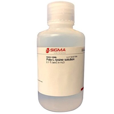 POLY-L-LYSINE SOLUTION 100 ML