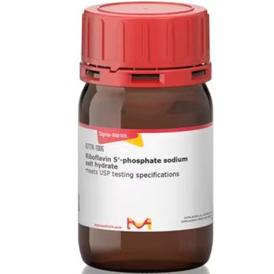 RIBOFLAVIN 5' PHOSPHATE SODIUM SALT HYDR 100 G