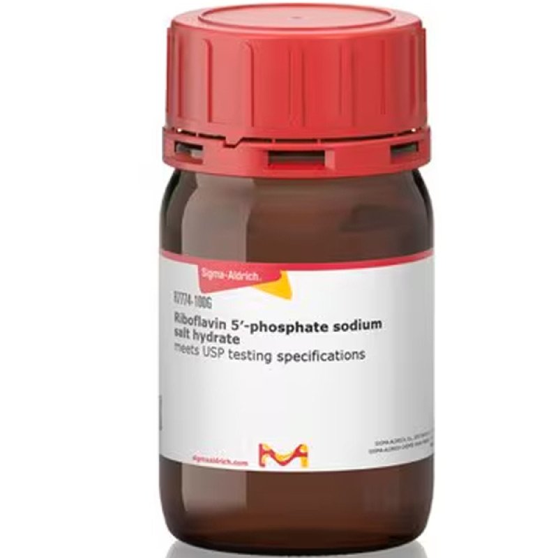 RIBOFLAVIN 5' PHOSPHATE SODIUM SALT HYDR 100 G