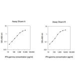 HUMAN IFN GAMMA ELISA KIT