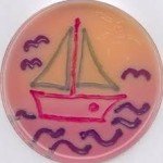 RAMBACH Agar 1 SET