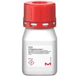 Collagenase, Type 1 250 MG
