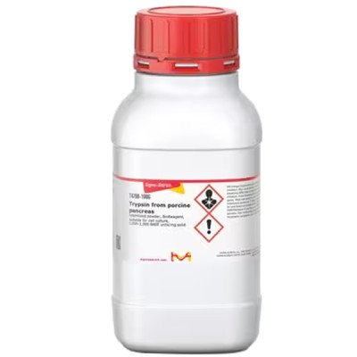 TRYPSIN FROM FROM PORCINE PANCREAS LYOP& 100 G