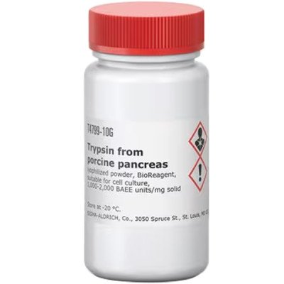 TRYPSIN FROM FROM PORCINE PANCREAS LYOP& 10 G