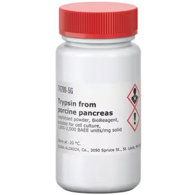 TRYPSIN FROM FROM PORCINE PANCREAS LYOP& 5 G