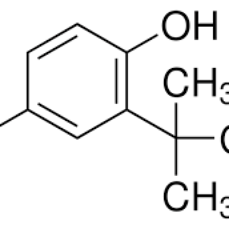 TERT-BUTYLHYDROQUINONE
