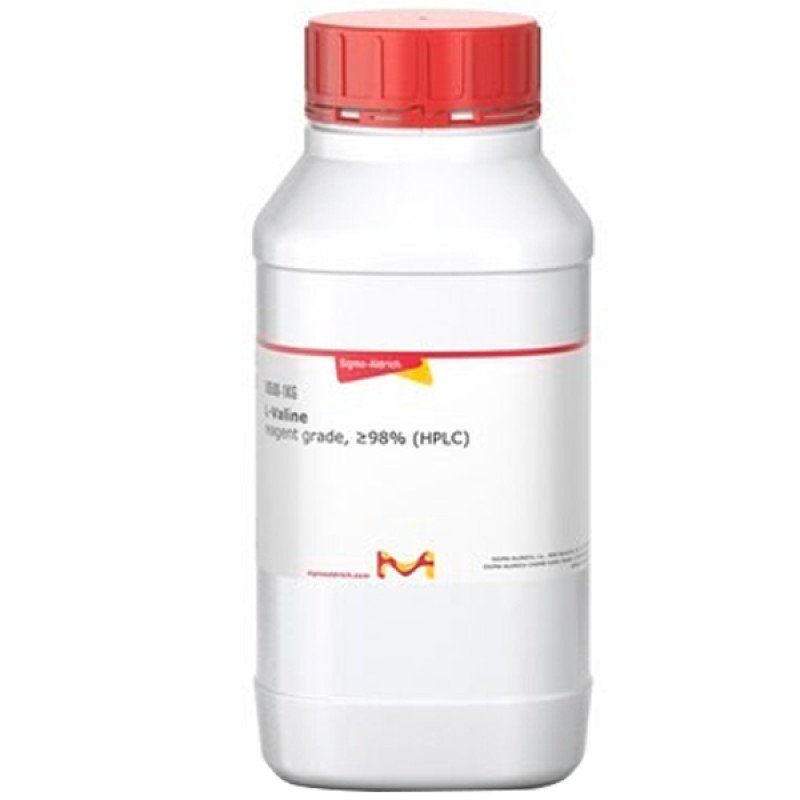 L-VALINE, REAGENT GRADE, 98% (HPLC) 1 KG