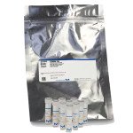 PSEUDOMONAS AERUGINOSA  WDCM 00026 VITRO 10 EA