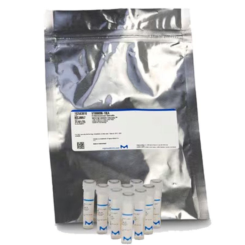 PSEUDOMONAS AERUGINOSA  WDCM 00026 VITRO 10 EA